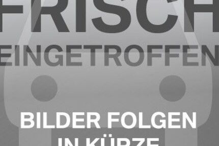 VW Beetle 104.000 km 11.890 &euro; Worms 67547