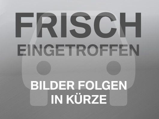 VW Beetle 104.000 km 11.890 &euro; Worms 67547