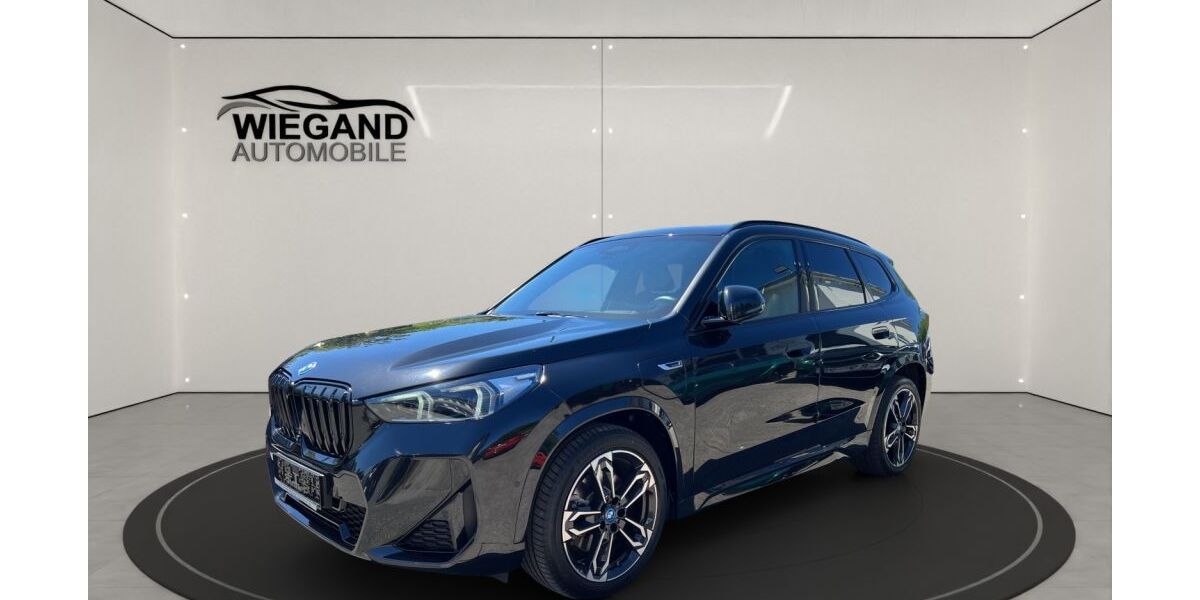 BMW X1 52.000 km 39.990 &euro; Viernheim 68519
