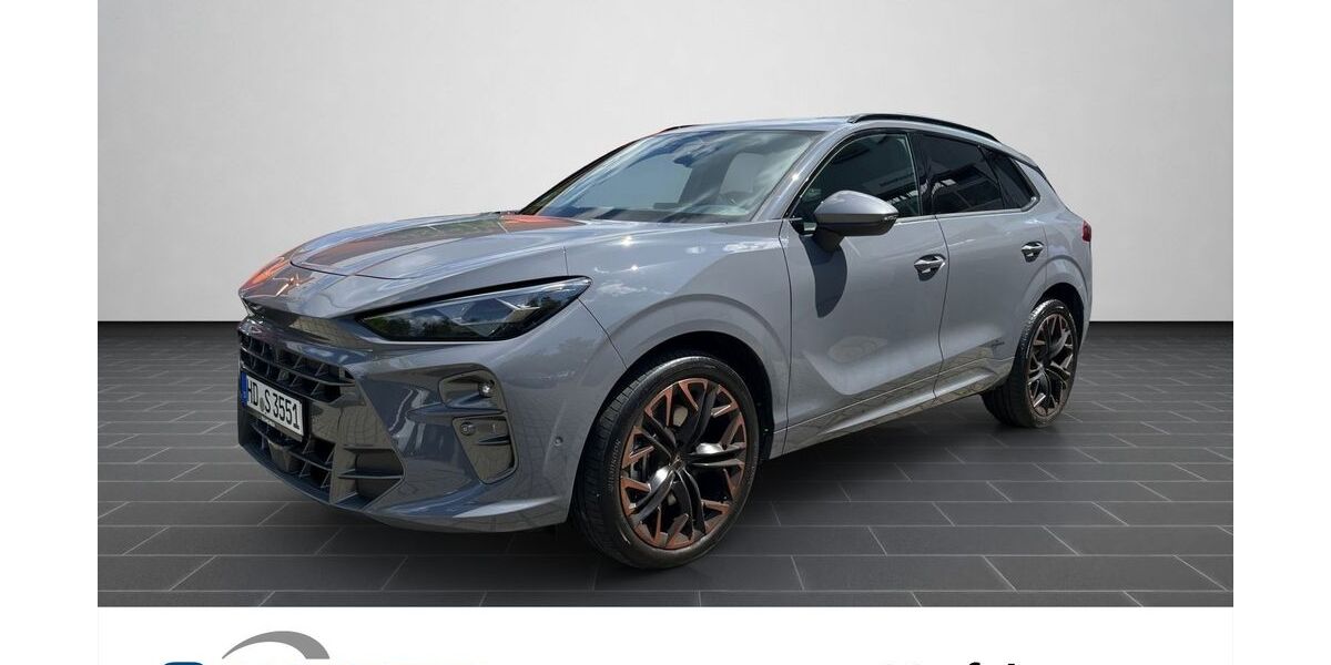 Cupra Terramar 13.900 km 56.380 &euro; Heidelberg 69123