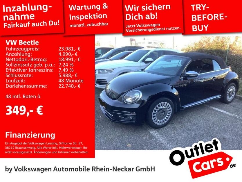 Beetle
