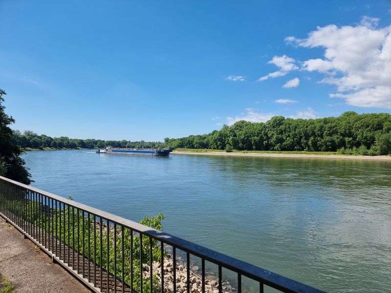 Wohnung zum Kaufen in Mannheim 690.000 € 98 m²