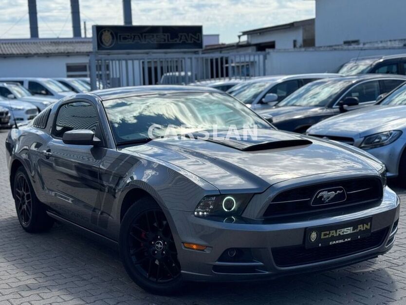 Mustang