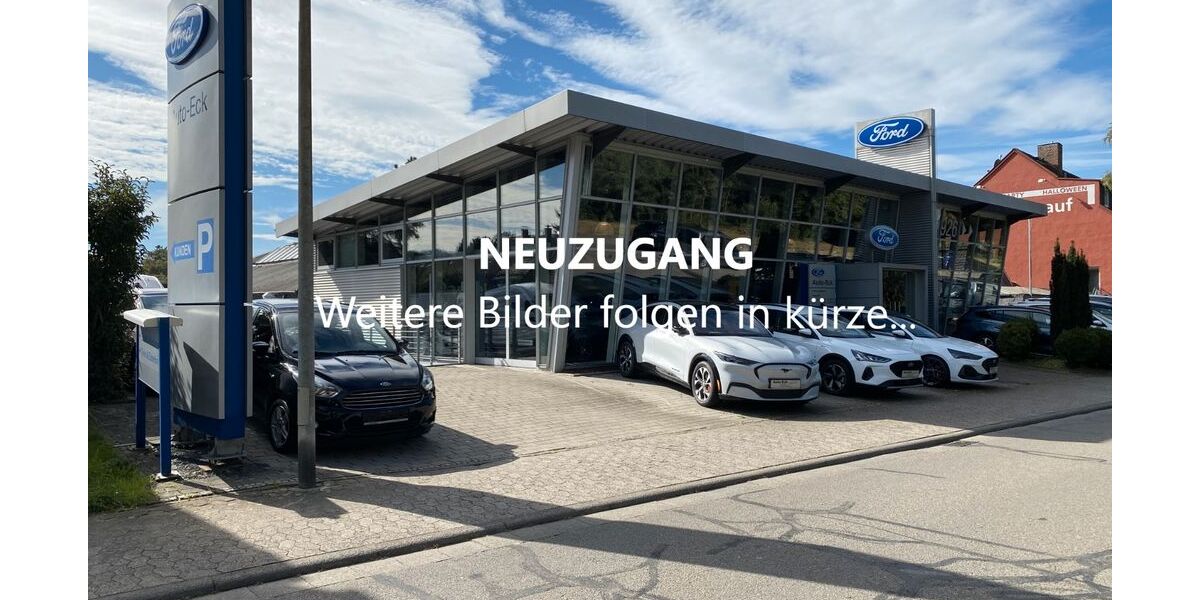 Ford Transit 109.000 km 29.590 &euro; Heppenheim 64646