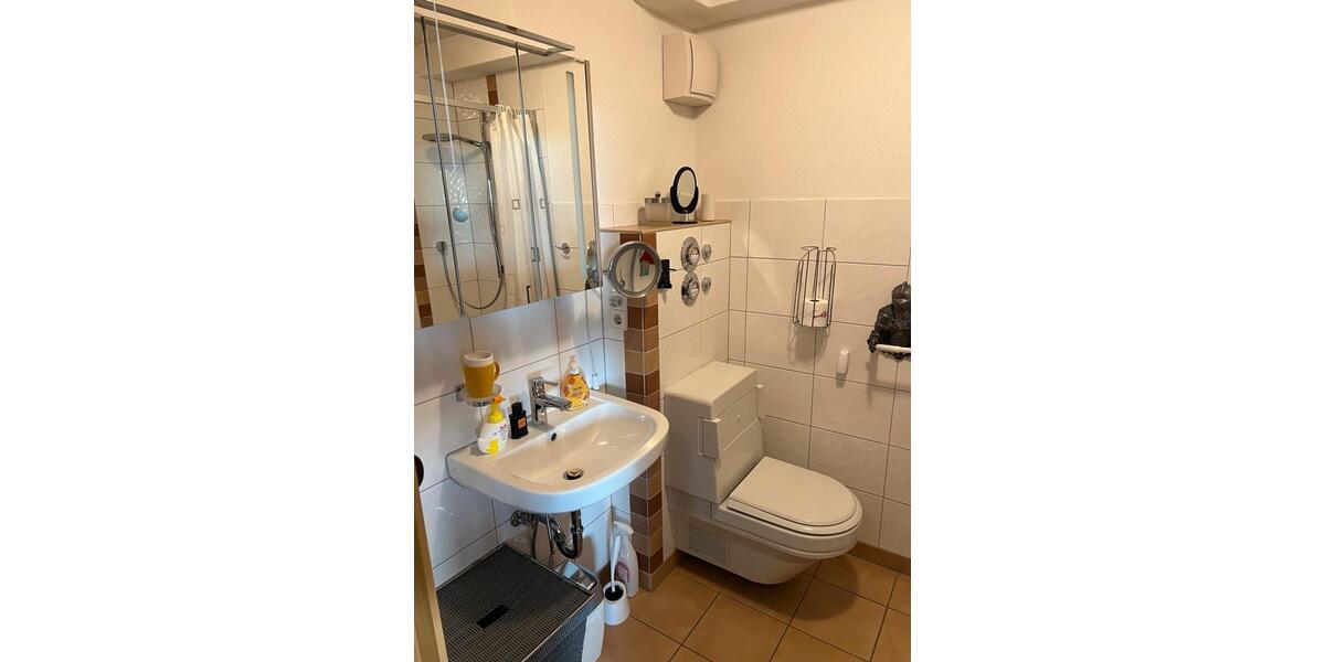 Etagenwohnung Eppelheim - 1 Zimmer, 52 m&sup2;, 1.100&euro; | Angebot:26316440