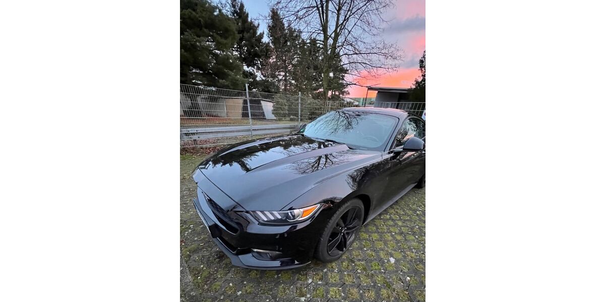 Ford Mustang 123.750 km 22.999 &euro; Speyer 67346