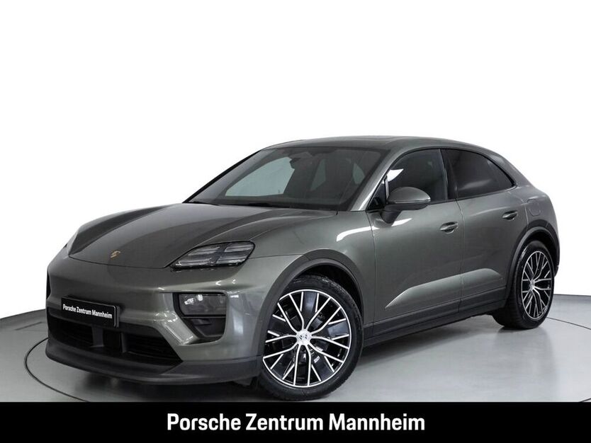 Macan
