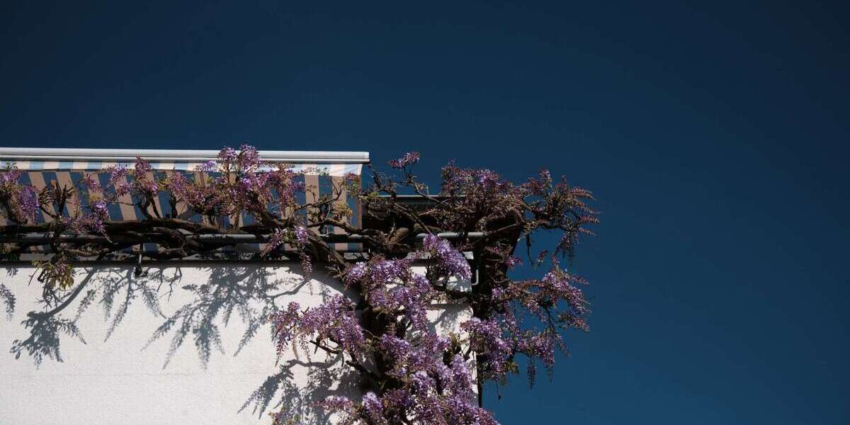 Einfamilienhaus Wiesloch - 6 Zimmer, 168 m&sup2;, 525.000&euro; | Angebot:26270851