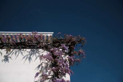 Haus Wiesloch - 6 Zimmer, 168 m&sup2;, 525.000&euro; | Angebot:26270851