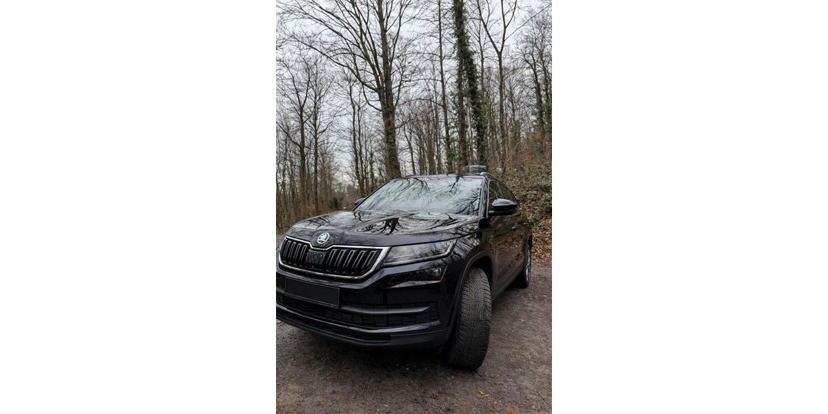 Skoda Kodiaq 107.400 km 27.300 &euro; Heidelberg 69126