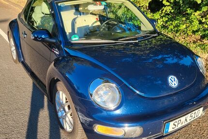 VW Beetle 196.000 km 2.900 &euro; Speyer 67346