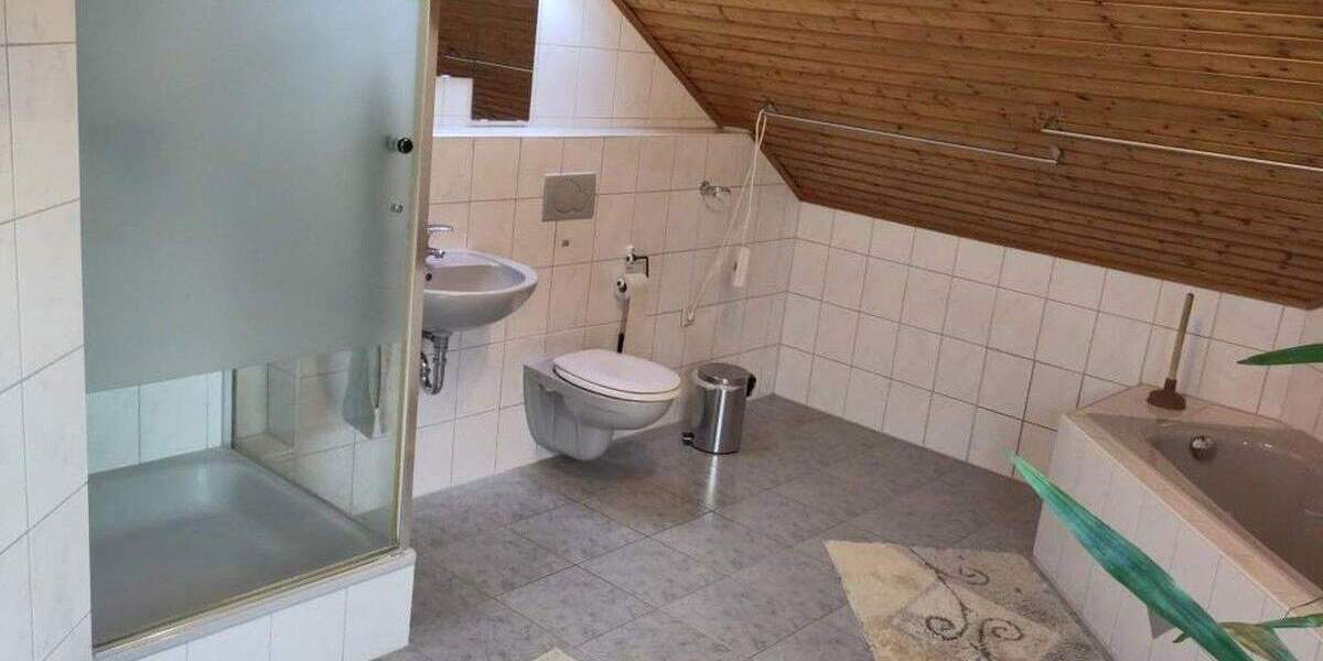 Großes Haus am Park 9 zimmer