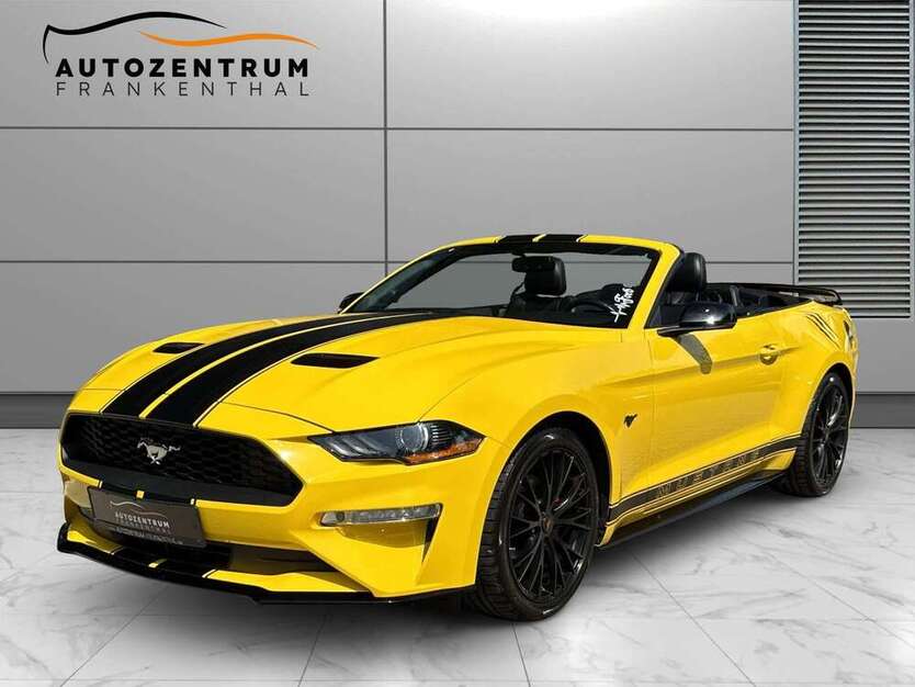 Mustang