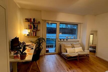 Wohnung zur Untermiete Mannheim Neckarstadt-Ost 1 zimmer