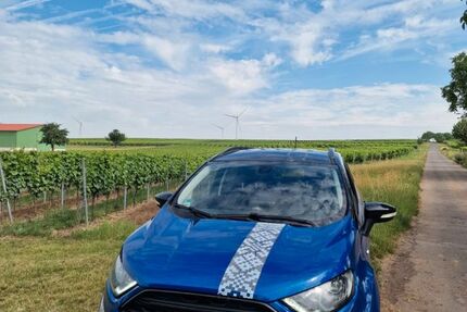 Ford EcoSport 100.000 km 8.000 &euro; Worms-Leiselheim 67549