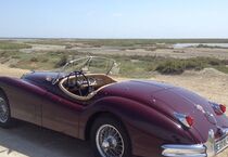 Jaguar XK