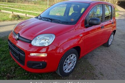 Fiat New Panda