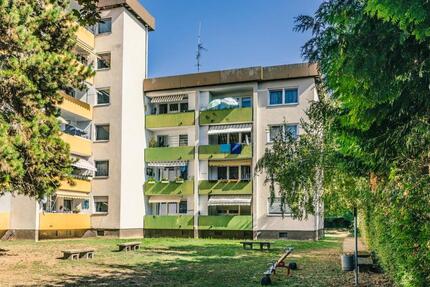 Wohnung Worms Westliche Vororte - 1 Zimmer, 40 m&sup2;, 409&euro; | Angebot:25918736