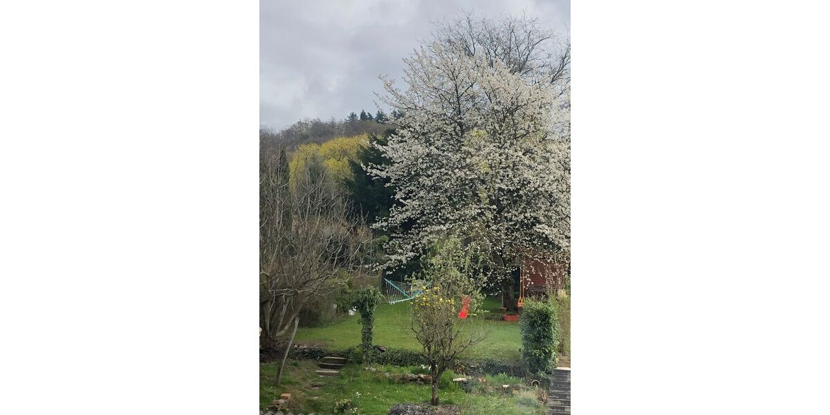 Einfamilienhaus mit Charme und Scheune im alten Ortskern - Scheune Hirschberg an der Bergstraße Leutershausen | Angebot:26633711
