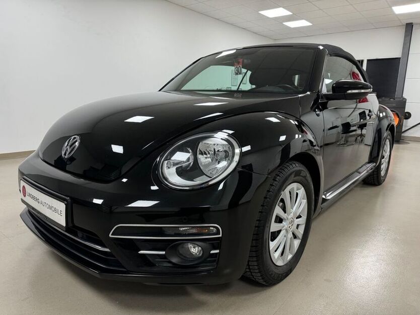 Beetle