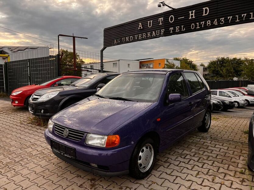Polo