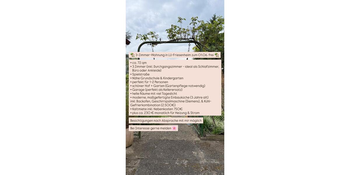 Erdgeschoßwohnung Ludwigshafen am Rhein Ludwigshafen-Hemshof - 3 Zimmer, 72 m&sup2;, 750&euro; | Angebot:26238641