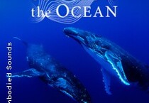 Sounds of the Ocean - The Immersive Experience Sounds of the Ocean - The Immersive Experience