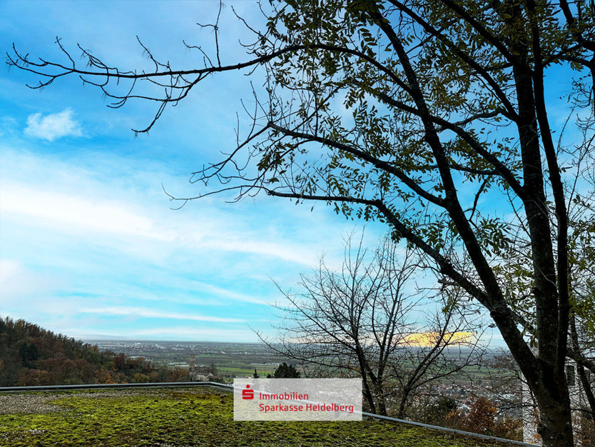 Großzügiges Baugrundstück mit unvergleichbarer Aussicht