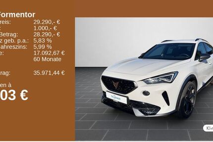 Cupra Formentor 41.604 km 28.880 &euro; Ludwigshafen 67063
