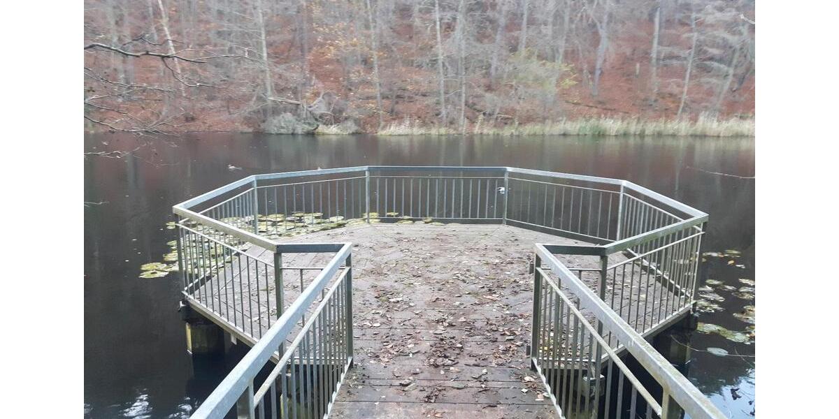 Dachgeschoßwohnung Bad Dürkheim - 2 Zimmer, 61 m&sup2;, 800&euro; | Angebot:26211200