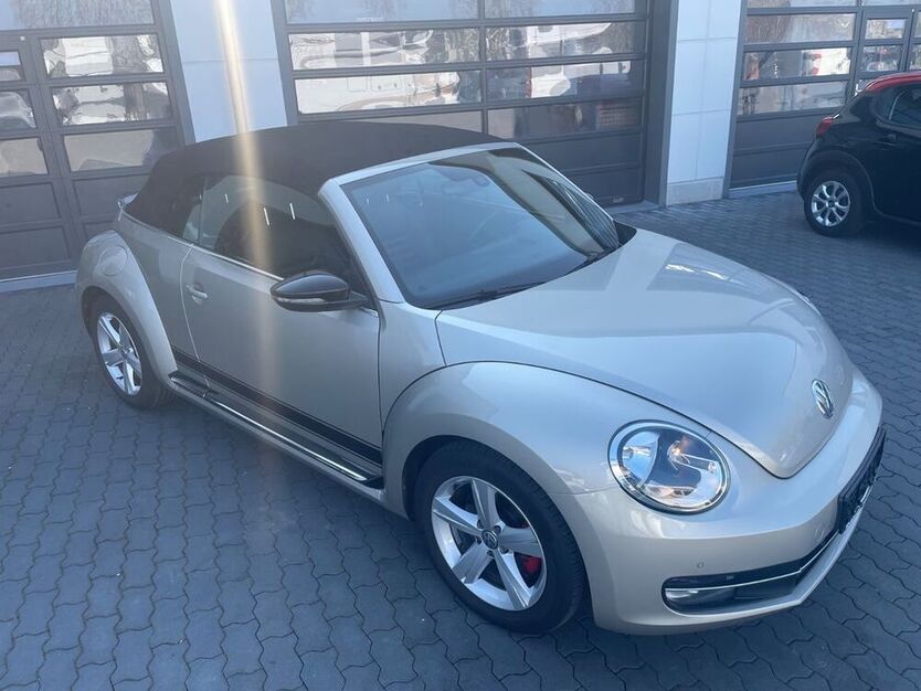 Beetle