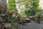 Mehrfamilienhaus, Wohnhaus Ludwigshafen am Rhein Friesenheim/Nord - 1 Zimmer, 438 m&sup2;, 719.000&euro; | Angebot:26804052