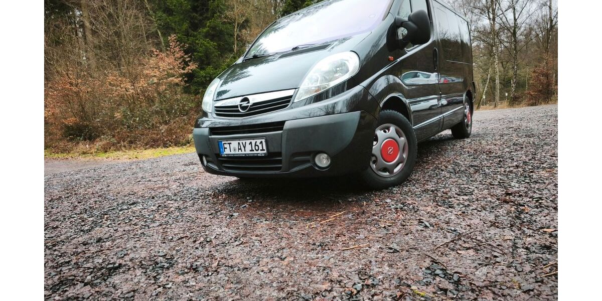 Opel Vivaro 236.000 km 9.950 &euro; Bobenheim-Roxheim 67240