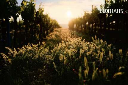 Grundstück Bad Dürkheim - 256.000&euro; | Angebot:25194848