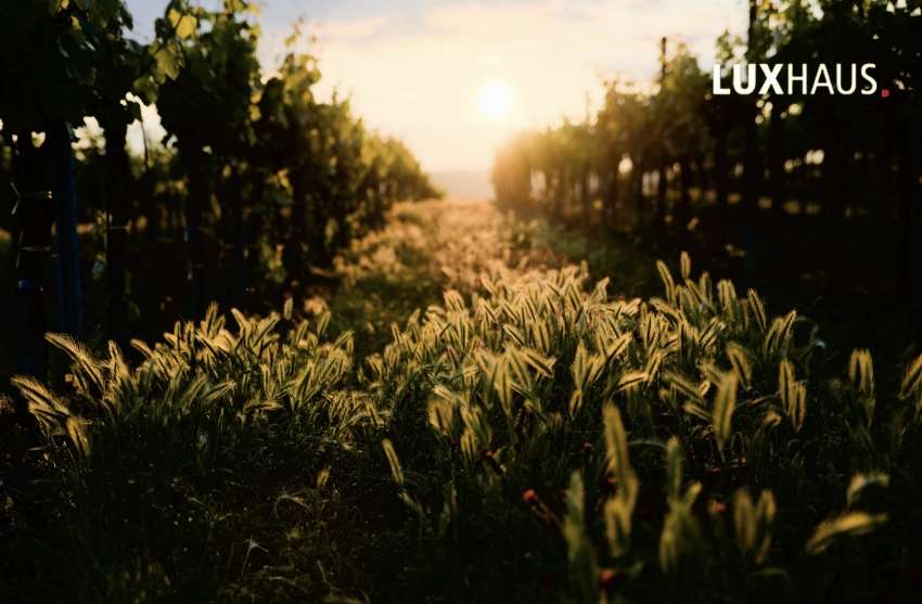 Grundstück Bad Dürkheim - 256.000&euro; | Angebot:25194848