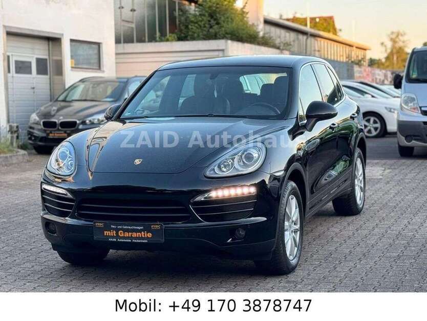 Cayenne