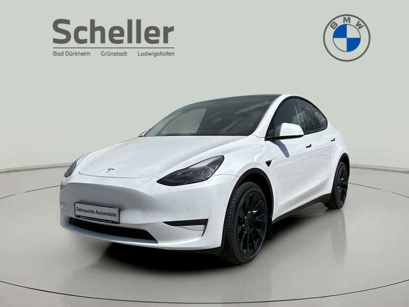 Model Y