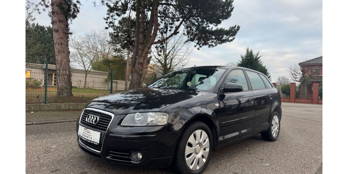 Audi A3 120.000 km 7.950 &euro; Speyer 67346