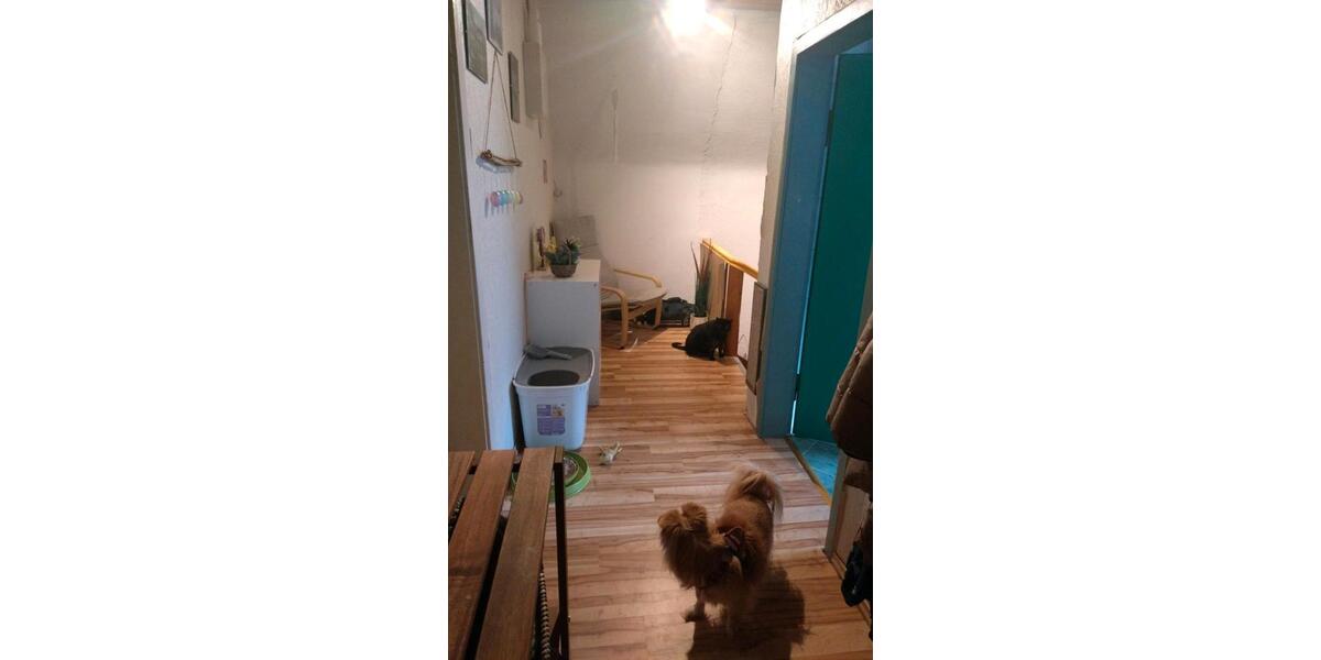 Einfamilienhaus Bensheim - 5 Zimmer, 110 m&sup2;, 250.000&euro; | Angebot:26044041