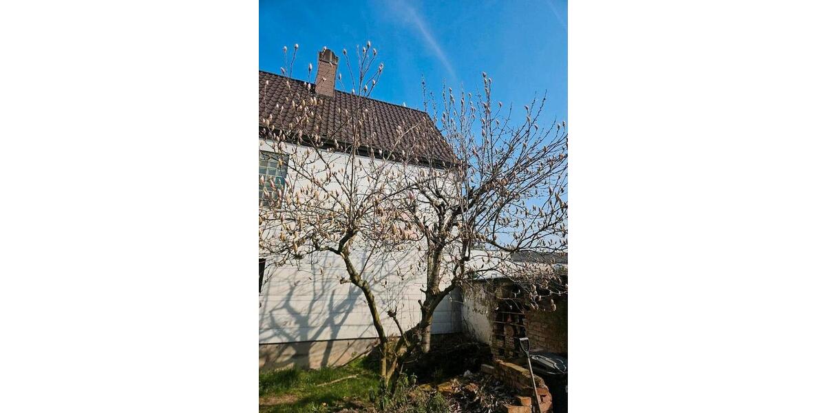 Einfamilienhaus Lampertheim - 5 Zimmer, 105 m&sup2;, 199.999&euro; | Angebot:23129248