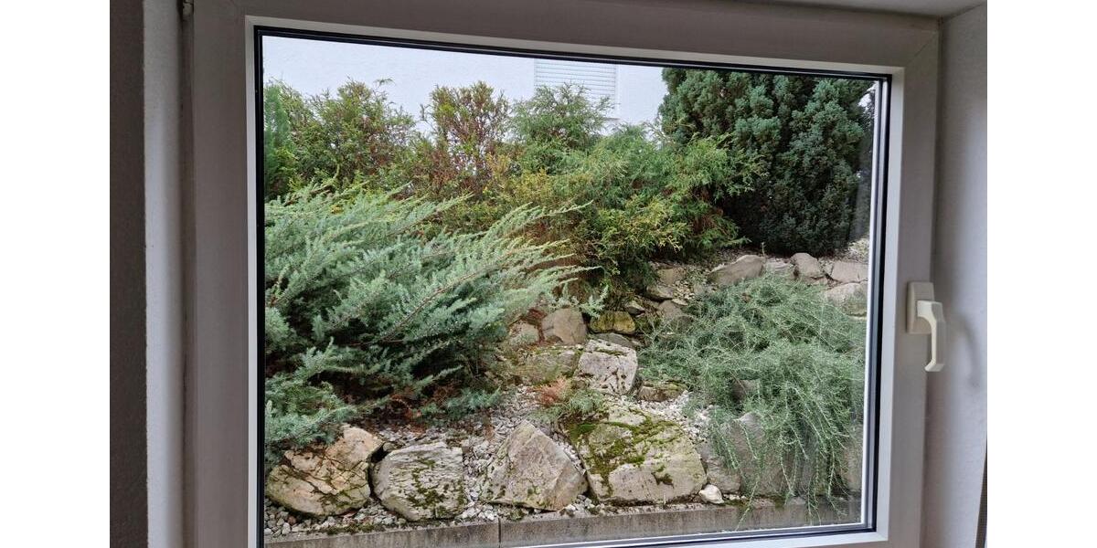 Renovierte helle 3 ZKB Whg mit neuem Bad, Terrasse und Garage 3 zimmer