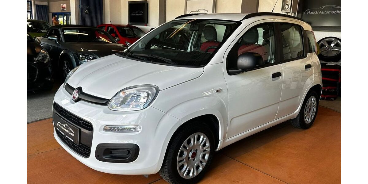 Fiat Panda 73.665 km 6.490 &euro; Bad Dürkheim 67098