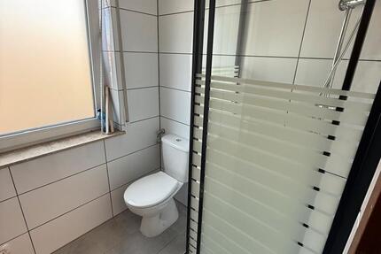 renovierte und teilmöbelierte 22 qm Wohnung in Lorsch 1 zimmer